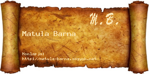 Matula Barna névjegykártya